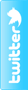 Twitter Profile